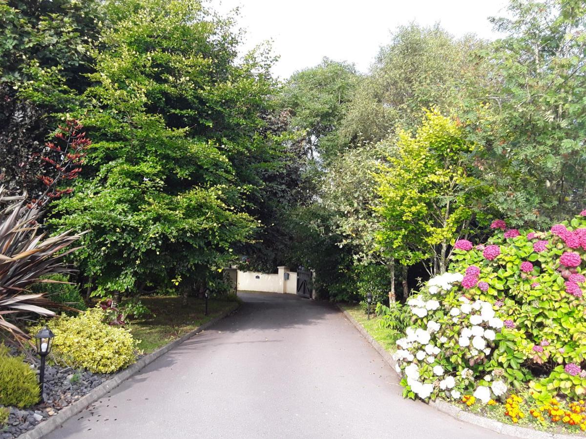 Ard Na Greine Bed & Breakfast Ballylickey Exteriér fotografie